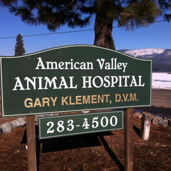 Quincy Animal Hospital American Valley Animal Hospital Veterinary Quincy, CA 95971